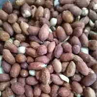 بادام زمینی بو داده تازه نیم کیلویی