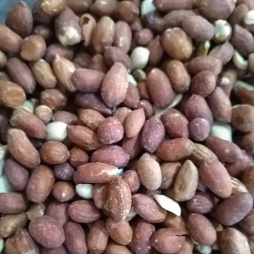 بادام زمینی بو داده تازه نیم کیلویی