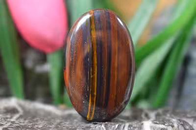 چشم ببر اهنی