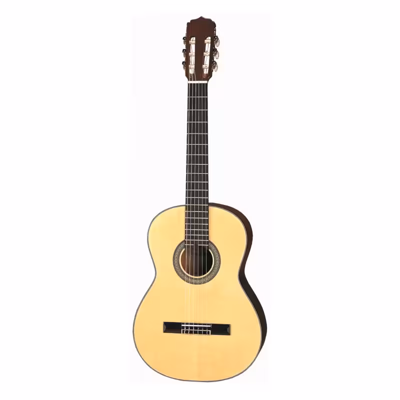 گیتار کلاسیک آریا ARIA AK-30N
