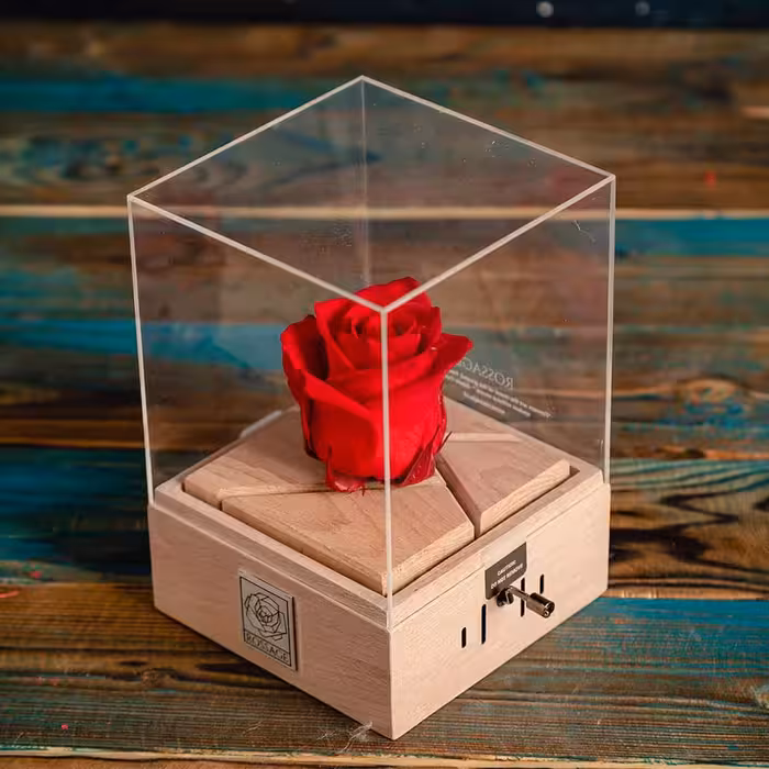 رز جاودان موزیکال هندلی rossage موزیک romeo&juliet