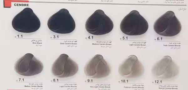 رنگ موی دوماسی سری دودی حجم 120 میل  /