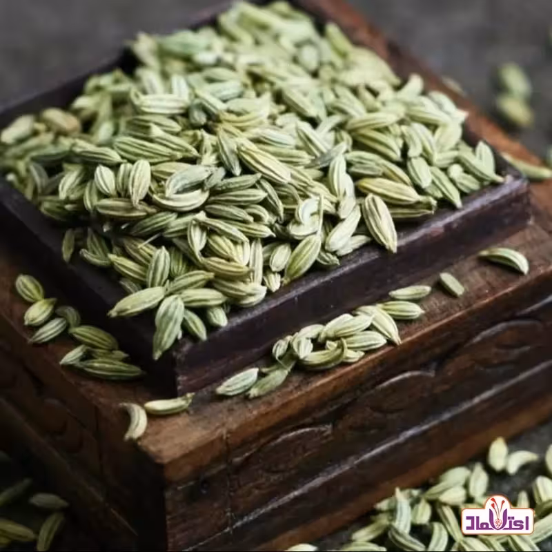 رازیانه اعلا 500 گرمی اعتماد امسالی و کاملاتمیز(بادیان) | amazonchi