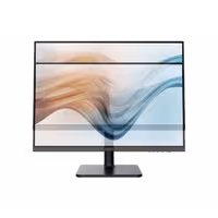 Monitor MSI