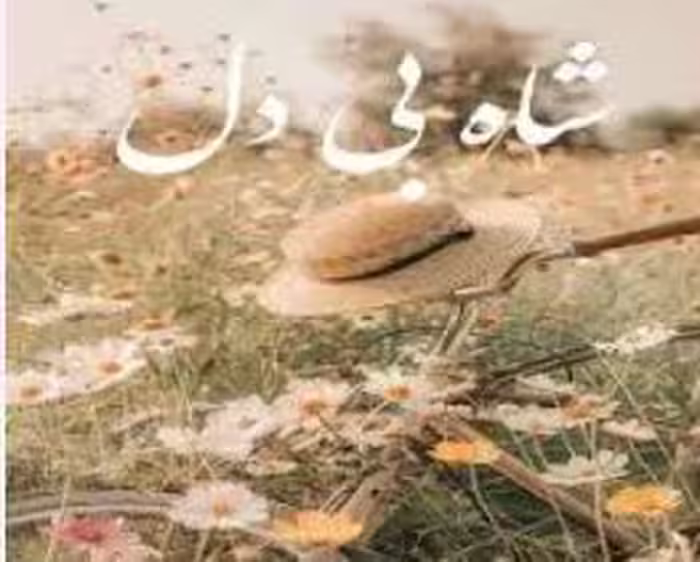 PDF نسخه کامل رمان:  #شاه_بی_دل نویسنده: #FUSKA ژانر:  #فانتزی #امگاورس  #پری_دریایی_اژدها #بزرگسال