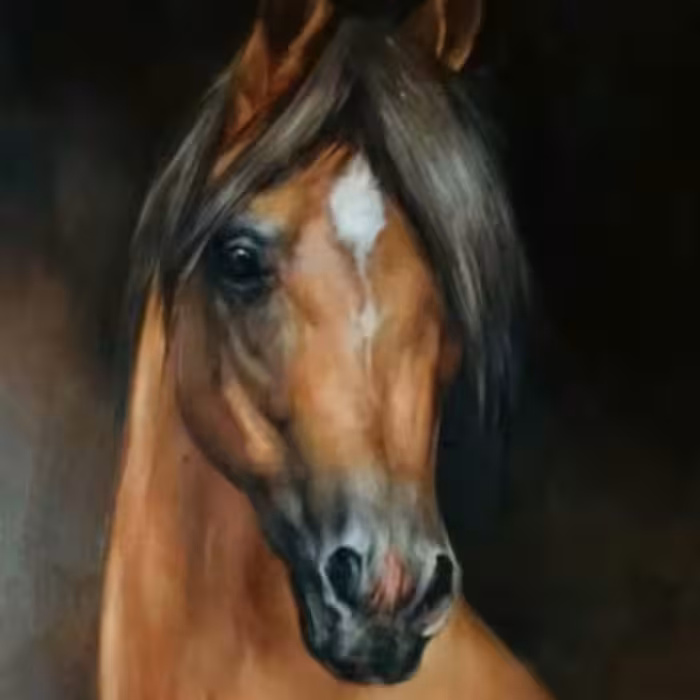 تابلو نقاشی رنگ روغن مدل اسب عربی کد 2