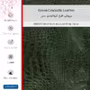 برچسب پوششی ماهوت مدل Green-Crocodile-Leather مناسب برای گوشی موبایل شیائومی 12T Pro