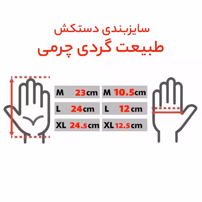 دستکش ورزشی مدل LeGl-M