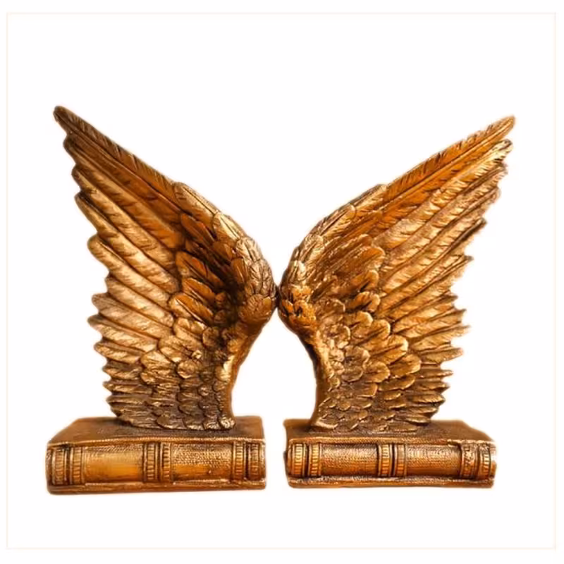 هلدر کتاب طرح بال