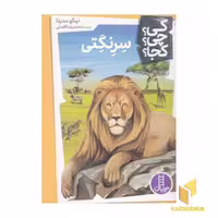 کتاب سرنگتی - کی؟ چی؟ کجا؟ اثر نیکو مدینا نشر نردبان