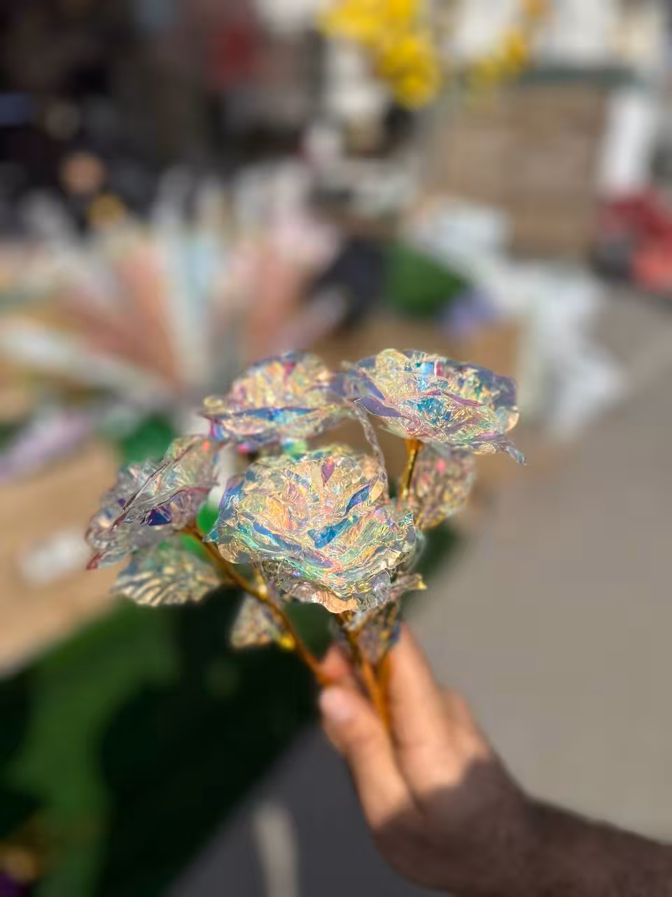 رز طلقی هفت رنگ