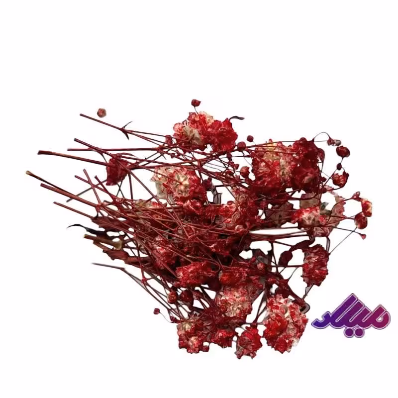 گل خشک ژیپسو قرمز G50