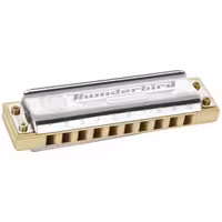 سازدهنی دیاتونیک هوهنر مدل Thunderbird کلید LLFHohner 10 hole Thunderbird diatonic harmonica LLF