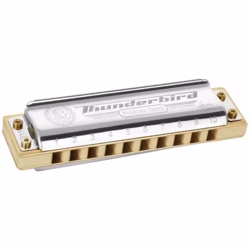 سازدهنی دیاتونیک هوهنر مدل Thunderbird کلید LLFHohner 10 hole Thunderbird diatonic harmonica LLF