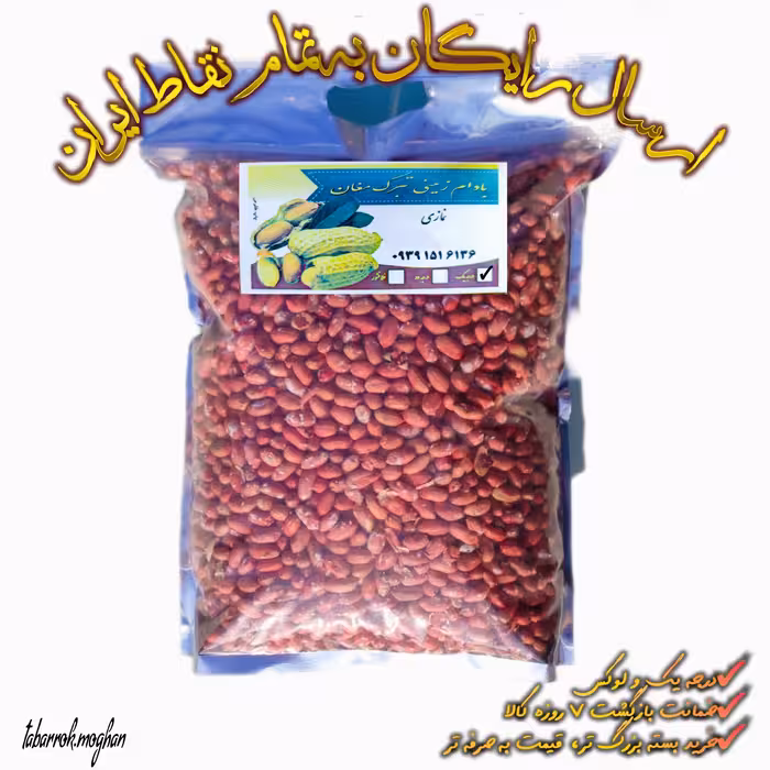 بادام زمینی تبرک مغان سایز دو ( سایز متوسط رو به بالا) کم نمک امسالی مغز برشته 