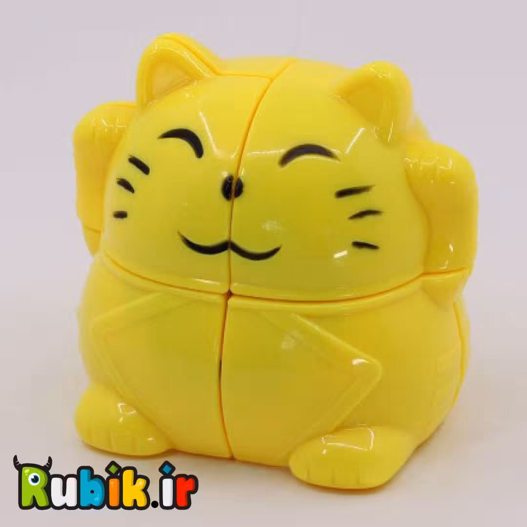 2*2 وای جی گربه زرد