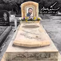 سنگ مرمر نباتی کد 0287