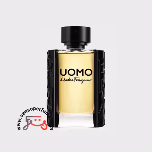 عطر ادکلن سالواتوره فراگامو اومو | salvatore ferragamo uomo
