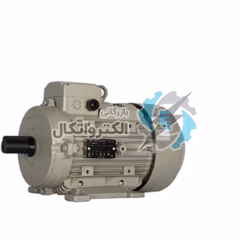 موتور الکتروژن 18.5کیلووات چدن