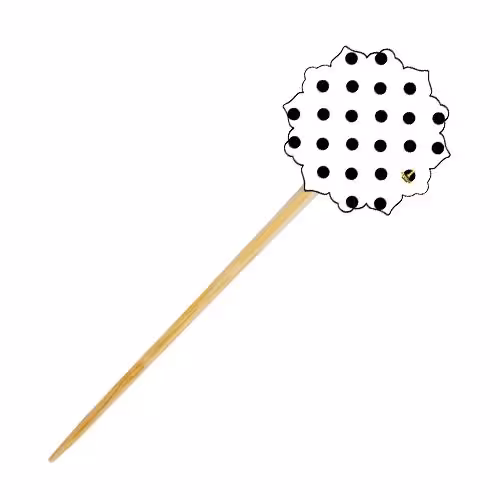 خلال دندان تم تولد خالدار سفید