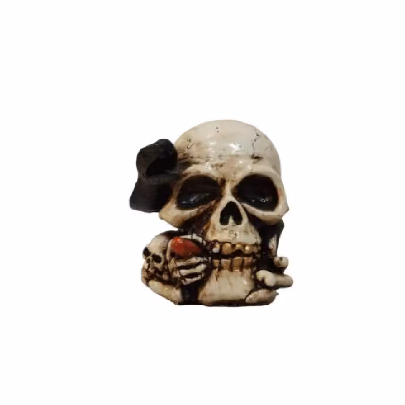 مجسمه مدل جمجمه ماردار