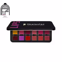 پالت رژلب استیل کارکتر مدل C-A401 Character Steel Lip Palette (C-A401)