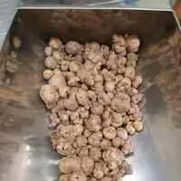 دهان بسته 100 گرم 