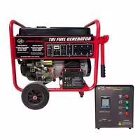 موتور برق جیانگ دانگ مدل JD 12000 THEBL-PG-NG تک فاز بنزینی 12 کیلو وات
