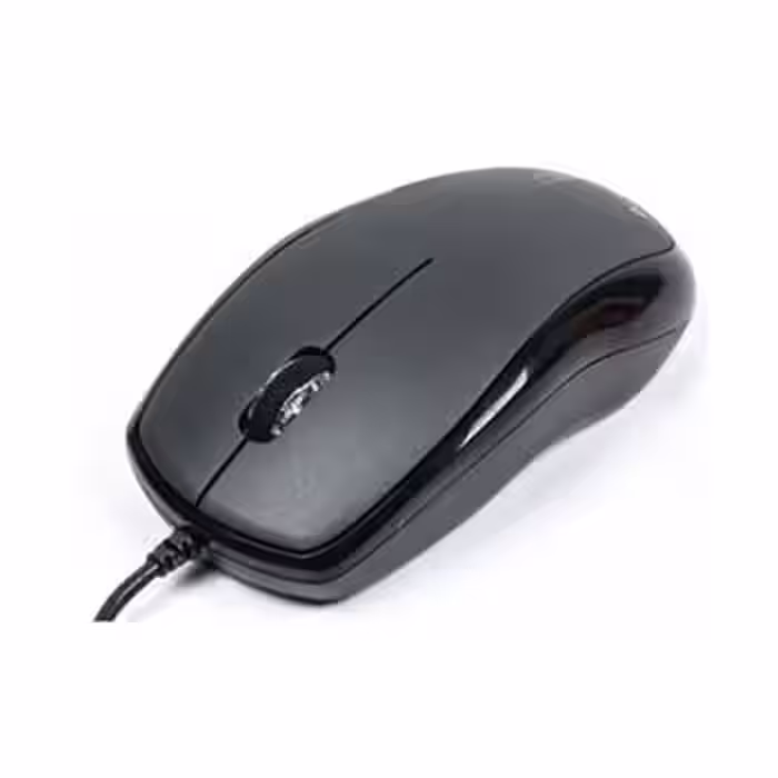 قیمت خرید ماوس ای فورتک 335 کد5261 | A4TECH N335 Mouse