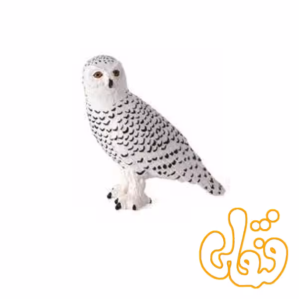 جغد برفی Snowy Owl 387201