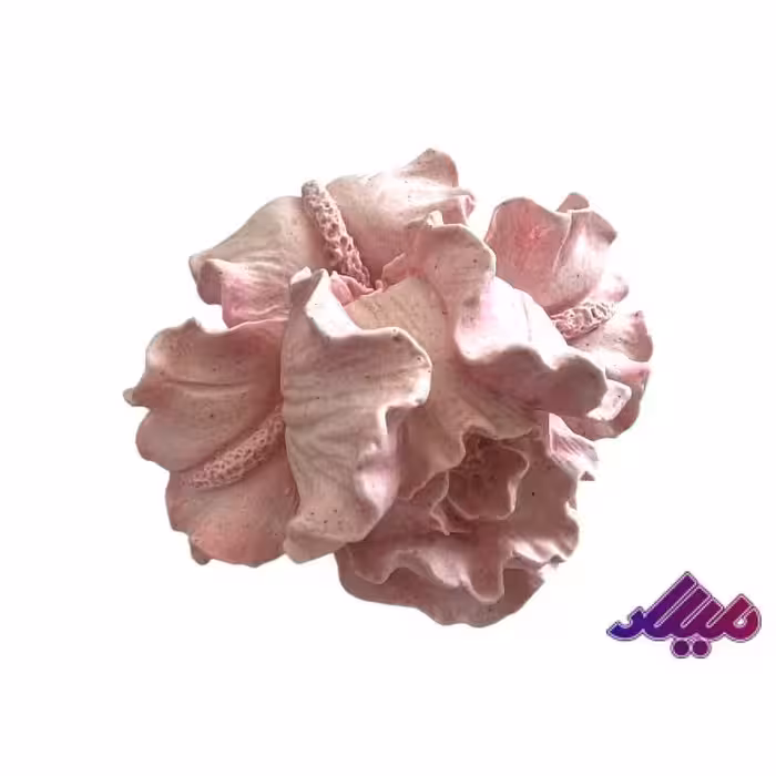 قالب سیلیکونی زنبق قطر 6 ارتفاع 4 سانت