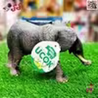 فیگور فیل جنگل و باغ وحش ANIMAL MODEL 006 – جنس نرم، طراحی واقعی، مناسب بازی و کلکسیون