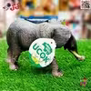 فیگور فیل جنگل و باغ وحش ANIMAL MODEL 006 – جنس نرم، طراحی واقعی، مناسب بازی و کلکسیون