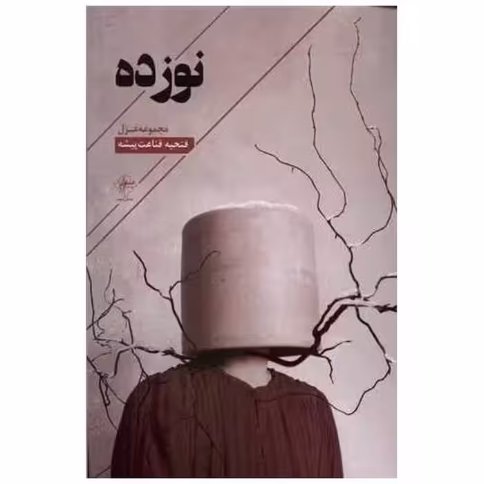 کتاب نوزده اثر فتیحه قناعت پیشه