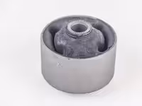 بوش طبق چری آریزو 6