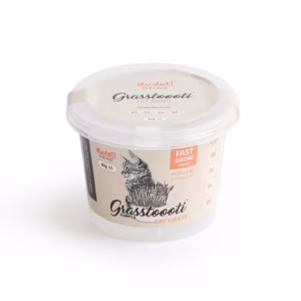 بذر علف گربه ضخیم دودوتی وزن 80 گرم