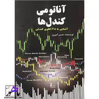 آناتومی کندل ها حسن امیری انتشارات چالش