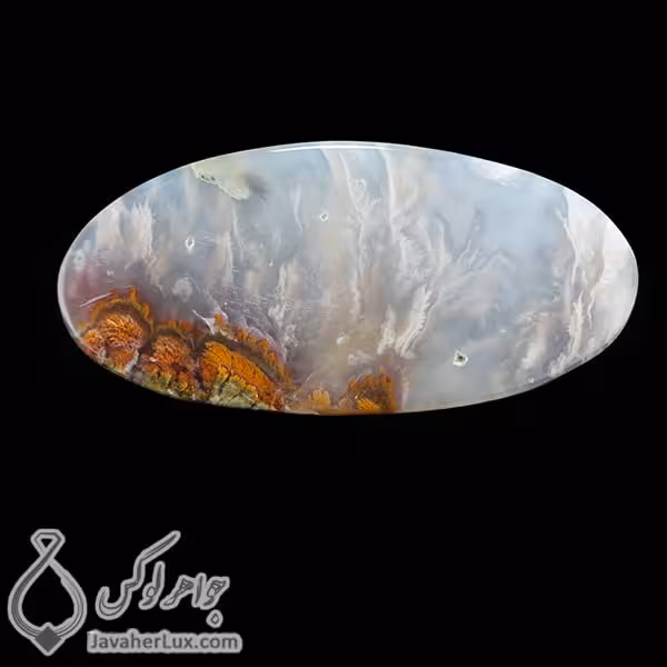 نگین عقیق شجر دریایی مدل بردان _ کد : 400261