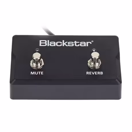 فوت سوئیچ Blackstar FS 17