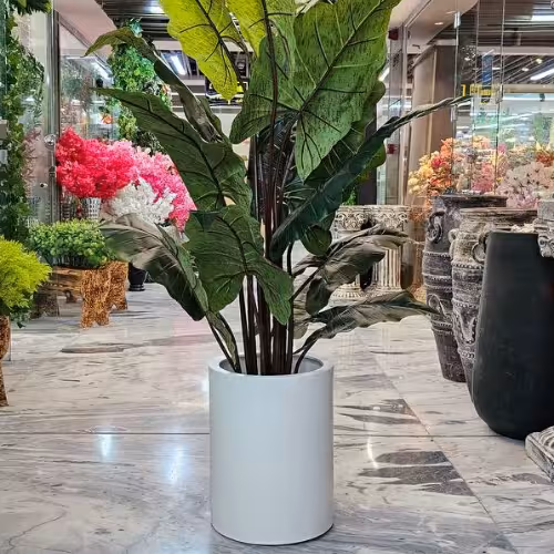 درختچه بابا آدم (آلوکازیا) مصنوعی