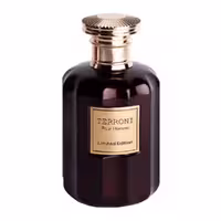 ادوپرفیوم مردانه روبرتو ویزاری مدل TERRONI حجم 100میلی لیتر