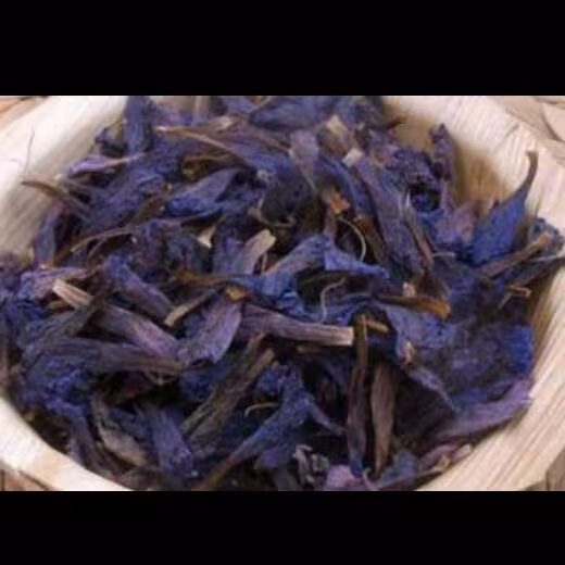 گل گاو زبون (ارامبخش)(15گرم)