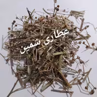 سیم اوتی (قشنگی)