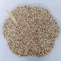 لوبیا پلو چشم بلبلی متوسط محلی خوشپخت درجه 1 تضمین کیفیت