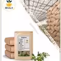 کاکوتی خشک فله