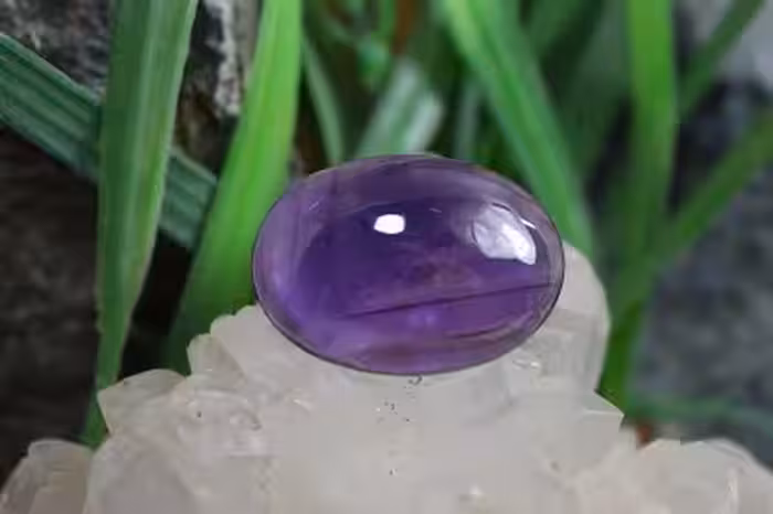 امتیست دامله(کاپوشی)