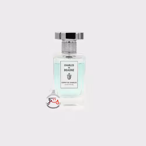 عطر ادکلن چارلز د بن اسپریت د چارلز | charles de beaune espirit de charles for unisex
