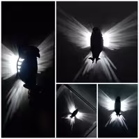 چراغ خواب طرح عقاب