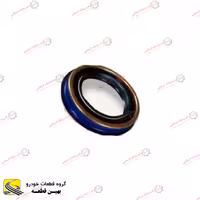 کاسه نمد پلوس آریو AT