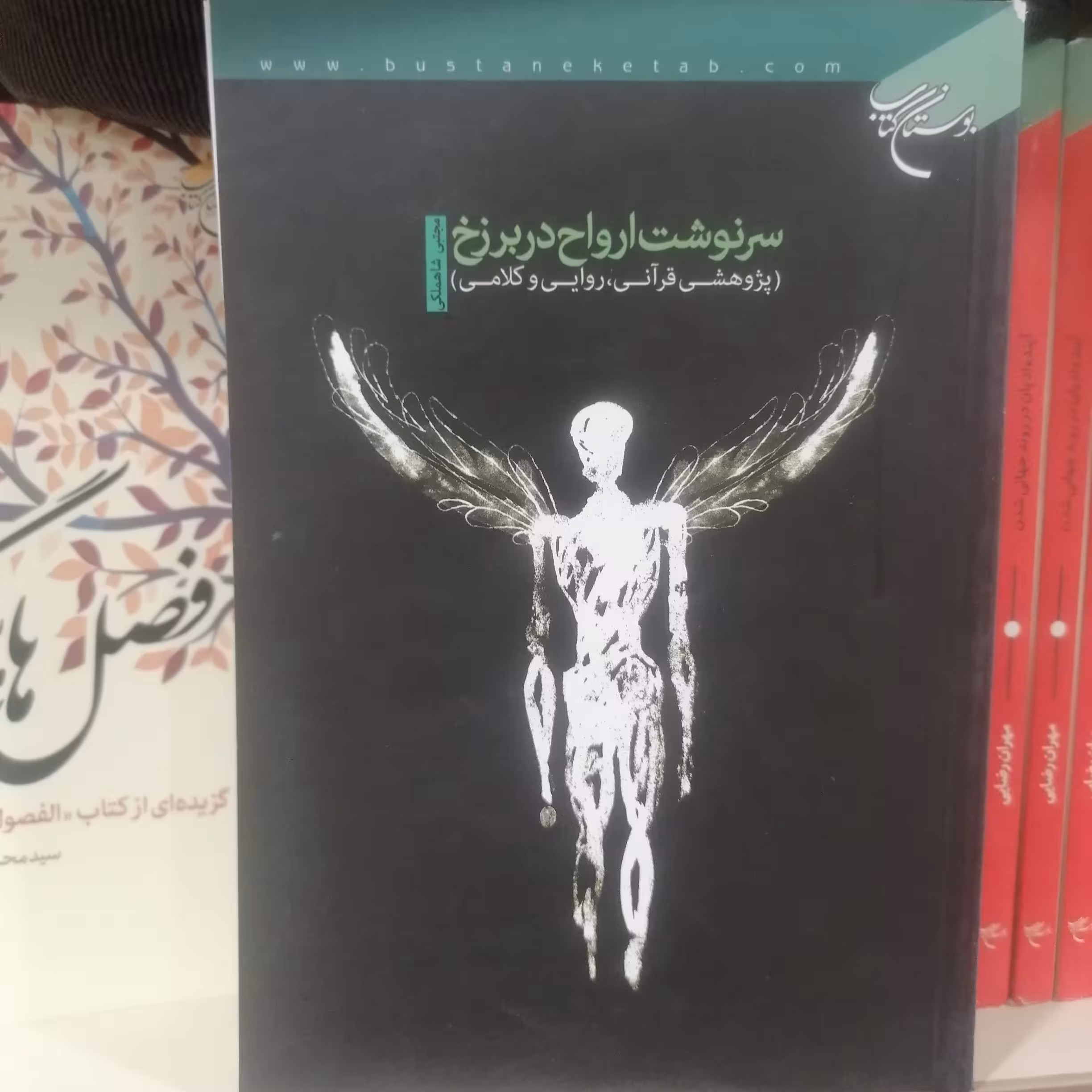 کتاب سرنوشت ارواح در برزخ پژوهشی قرآنی روایی و کلامی